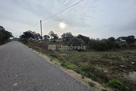 Helårsgrund i Olaia e Paco, Santarem, Olaia e Paco - € 6.000 | Ref: 01859-26 - foto 6