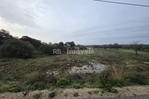 Helårsgrund i Olaia e Paco, Santarem, Olaia e Paco - € 6.000 | Ref: 01859-26 - foto 7