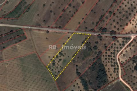 Helårsgrund i Olaia e Paco, Santarem, Olaia e Paco - € 6.000 | Ref: 01859-26 - foto 1