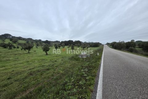 Terra a Olaia e Paco, Santarem, Olaia e Paco - € 71.500 | Ref: 01860-26 - foto 6