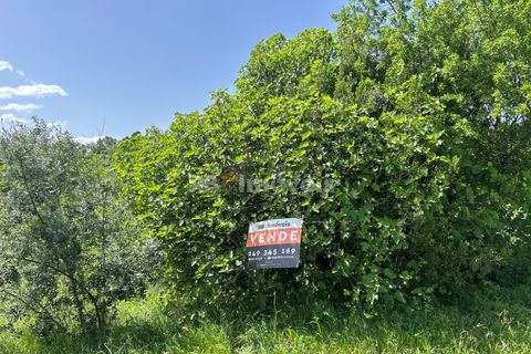 Terra a Olaia e Paco, Santarem, Olaia e Paco - € 71.500 | Ref: 01860-26 - foto 18