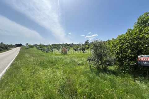 Terra a Olaia e Paco, Santarem, Olaia e Paco - € 71.500 | Ref: 01860-26 - foto 19