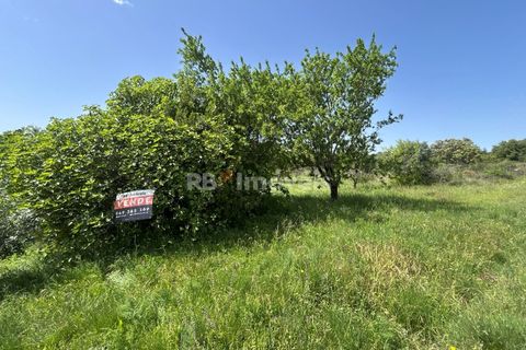 Terra a Olaia e Paco, Santarem, Olaia e Paco - € 71.500 | Ref: 01860-26 - foto 21