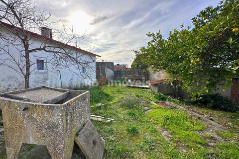 Villa a Olaia e Paco, Santarem, Olaia e Paco - € 120.000 | Ref: 01885-26 - foto 24