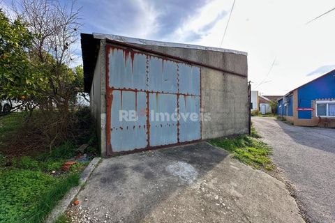 Villa a Olaia e Paco, Santarem, Olaia e Paco - € 120.000 | Ref: 01885-26 - foto 27