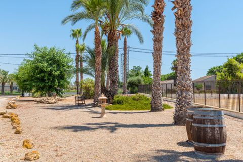 Landejendom i Catral, Alicante, Catral - € 549.000 | Ref: CSPR-42695 - foto 30