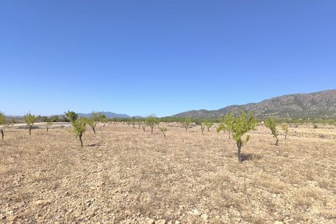 Helårsgrund i Monovar, Alicante, Monovar - € 32.990 | Ref: 70067b - foto 2