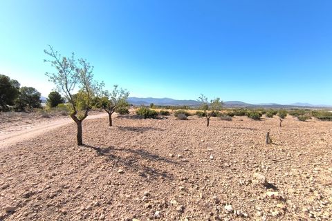 Helårsgrund i Monovar, Alicante, Monovar - € 20.990 | Ref: 70067a - foto 3