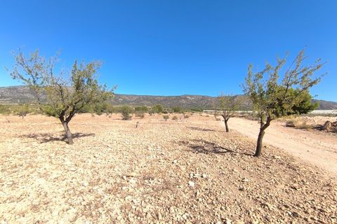 Helårsgrund i Monovar, Alicante, Monovar - € 20.990 | Ref: 70067a - foto 4