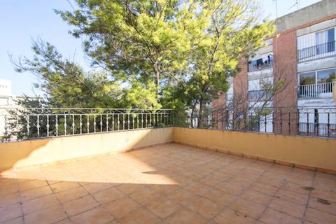 Villa a Canals, Valencia, Canals - € 400.000 | Ref: 03694/399 - foto 38