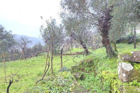 Helårsgrund i Vila Verde, Braga, Vila Verde - € 69.500 | Ref: ZMPT584911 - foto 6