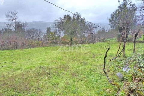 Helårsgrund i Vila Verde, Braga, Vila Verde - € 69.500 | Ref: ZMPT584911 - foto 8