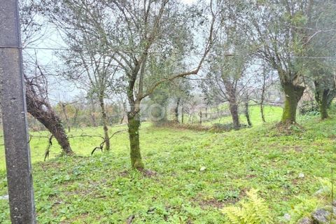 Grond in Vila Verde, Braga, Vila Verde - € 69.500 | Ref: ZMPT584911 - foto 7