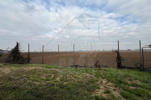Villa a Stanghella, Padua, Stanghella - € 100.000 | Ref: C282 - foto 19