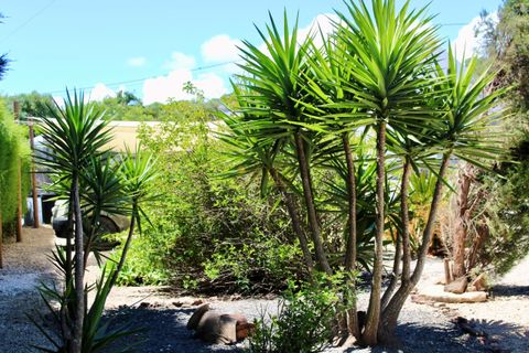 Farm hus i Budens, Faro, Budens - € 849.000 | Ref: V/140 - foto 13