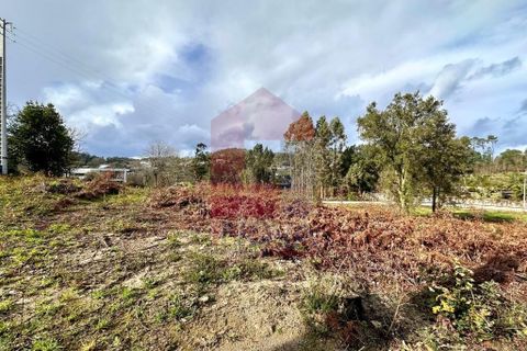 Helårsgrund i Vila Verde, Braga, Vila Verde - € 110.000 | Ref: 08794 - foto 19