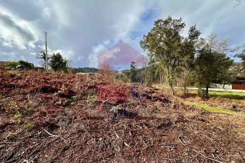Helårsgrund i Vila Verde, Braga, Vila Verde - € 110.000 | Ref: 08794 - foto 21