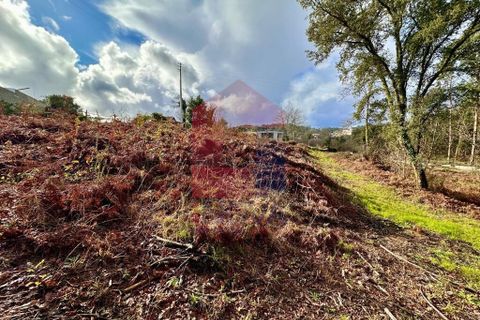 Helårsgrund i Vila Verde, Braga, Vila Verde - € 110.000 | Ref: 08794 - foto 23