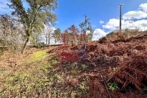 Helårsgrund i Vila Verde, Braga, Vila Verde - € 110.000 | Ref: 08794 - foto 24