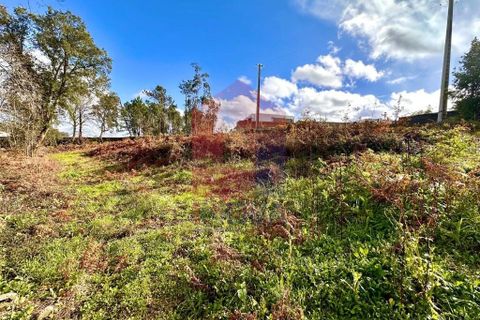 Helårsgrund i Vila Verde, Braga, Vila Verde - € 110.000 | Ref: 08794 - foto 26