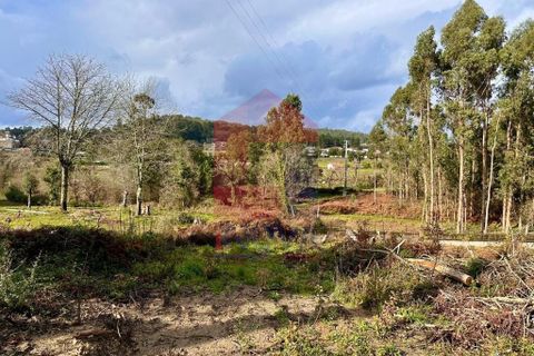 Helårsgrund i Vila Verde, Braga, Vila Verde - € 110.000 | Ref: 08794 - foto 28