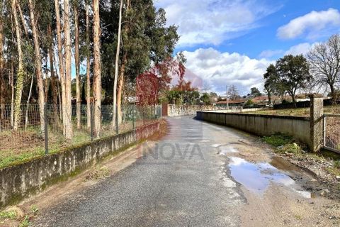 Helårsgrund i Vila Verde, Braga, Vila Verde - € 110.000 | Ref: 08794 - foto 31