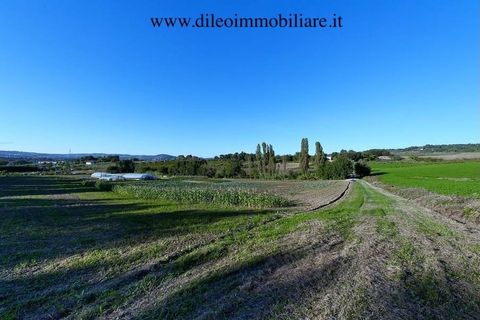 Villa a Pesaro, Pesaro and Urbino, Pesaro - € 2.000.000 | Ref: 6986 - foto 6