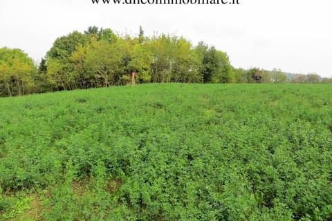 Villa a Pesaro, Pesaro and Urbino, Pesaro - € 2.000.000 | Ref: 6986 - foto 7