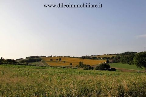 Villa a Pesaro, Pesaro and Urbino, Pesaro - € 2.000.000 | Ref: 6986 - foto 10
