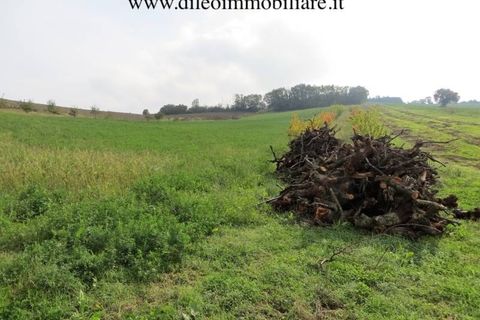 Villa a Pesaro, Pesaro and Urbino, Pesaro - € 2.000.000 | Ref: 6986 - foto 11