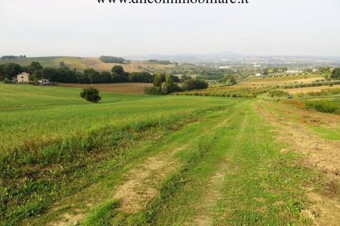 Villa a Pesaro, Pesaro and Urbino, Pesaro - € 2.000.000 | Ref: 6986 - foto 15
