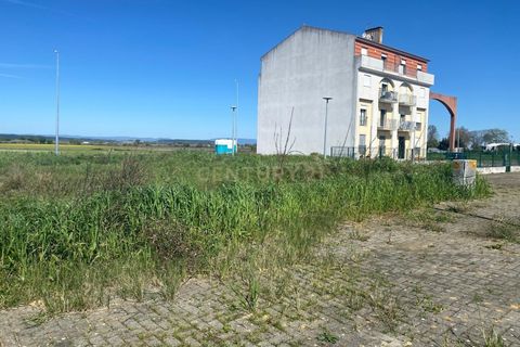 Helårsgrund i Alpiarca, Santarem, Alpiarca - € 53.000 | Ref: C0409-00085 - foto 11