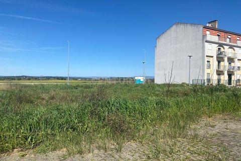 Helårsgrund i Alpiarca, Santarem, Alpiarca - € 53.000 | Ref: C0409-00085 - foto 14