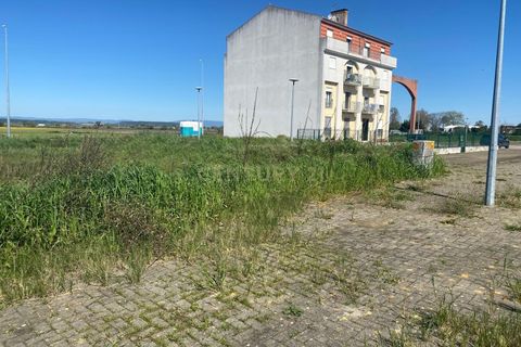 Helårsgrund i Alpiarca, Santarem, Alpiarca - € 53.000 | Ref: C0409-00085 - foto 15