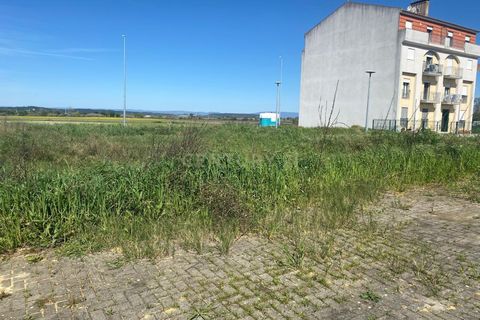 Helårsgrund i Alpiarca, Santarem, Alpiarca - € 53.000 | Ref: C0409-00085 - foto 16