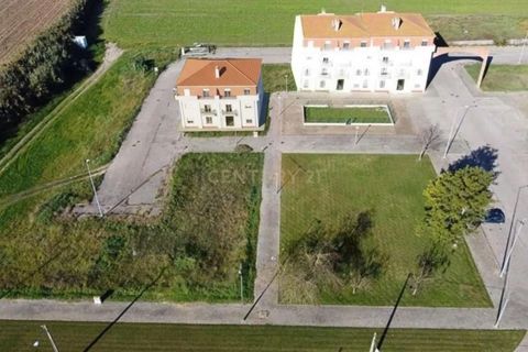 Helårsgrund i Alpiarca, Santarem, Alpiarca - € 53.000 | Ref: C0409-00085 - foto 3