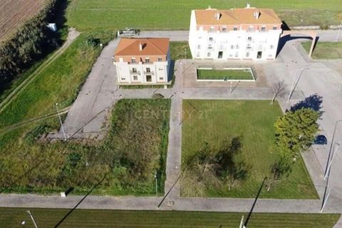 Helårsgrund i Alpiarca, Santarem, Alpiarca - € 53.000 | Ref: C0409-00085 - foto 5