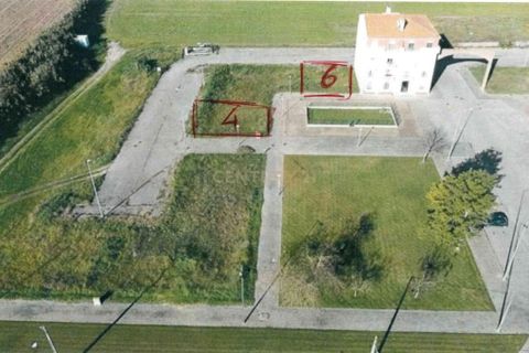Terra a Alpiarca, Santarem, Alpiarca - € 53.000 | Ref: C0409-00084 - foto 6