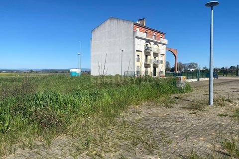Terra a Alpiarca, Santarem, Alpiarca - € 53.000 | Ref: C0409-00084 - foto 10