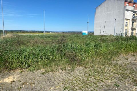 Terra a Alpiarca, Santarem, Alpiarca - € 53.000 | Ref: C0409-00084 - foto 16