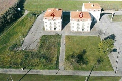 Terra a Alpiarca, Santarem, Alpiarca - € 53.000 | Ref: C0409-00084 - foto 3