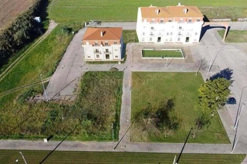 Terra a Alpiarca, Santarem, Alpiarca - € 53.000 | Ref: C0409-00084 - foto 5