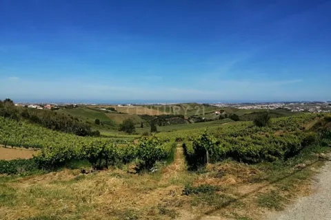 Helårsgrund i Torres Vedras, Lisbon, Torres Vedras - € 115.000 | Ref: C0409-01164 - foto 2