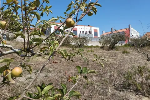 Helårsgrund i Torres Vedras, Lisbon, Torres Vedras - € 115.000 | Ref: C0409-01164 - foto 5