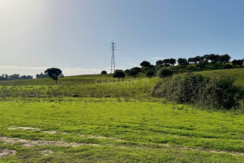 Helårsgrund i Azambuja, Lisbon, Azambuja - € 350.000 | Ref: C0409-01419 - foto 5