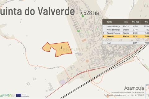 Helårsgrund i Azambuja, Lisbon, Azambuja - € 350.000 | Ref: C0409-01419 - foto 6