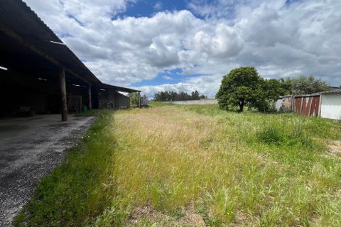 Helårsgrund i Abrantes, Santarem, Abrantes - € 70.000 | Ref: C0409-01649 - foto 8