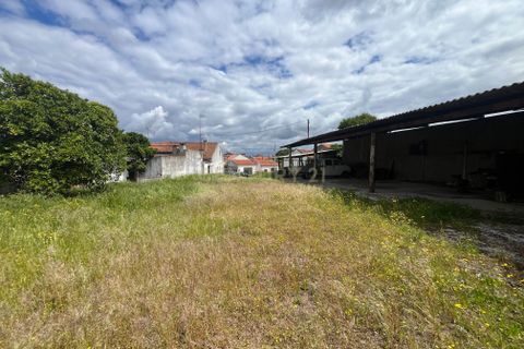 Helårsgrund i Abrantes, Santarem, Abrantes - € 70.000 | Ref: C0409-01649 - foto 12