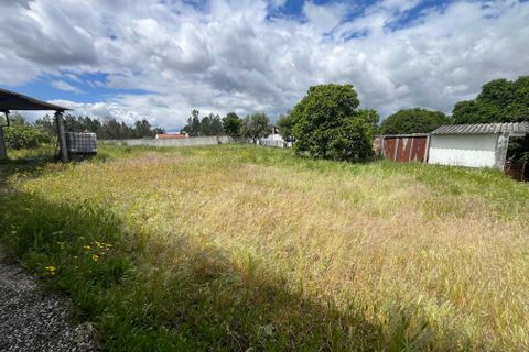 Helårsgrund i Abrantes, Santarem, Abrantes - € 70.000 | Ref: C0409-01649 - foto 13