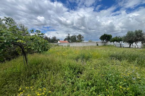 Helårsgrund i Abrantes, Santarem, Abrantes - € 70.000 | Ref: C0409-01649 - foto 15